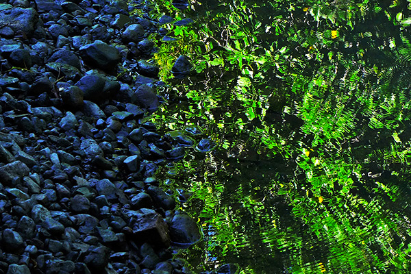 watershed-mosaic-02-zen-new