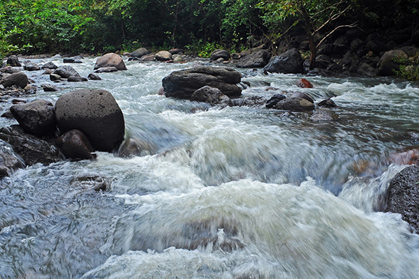 watershed-mosaic-04-running-stream